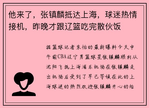 他来了，张镇麟抵达上海，球迷热情接机，昨晚才跟辽篮吃完散伙饭
